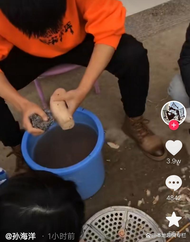 孙卓孙悦洗菜摆碗,孙辉开心玩耍,孙海洋彭四英准备丰盛年夜饭