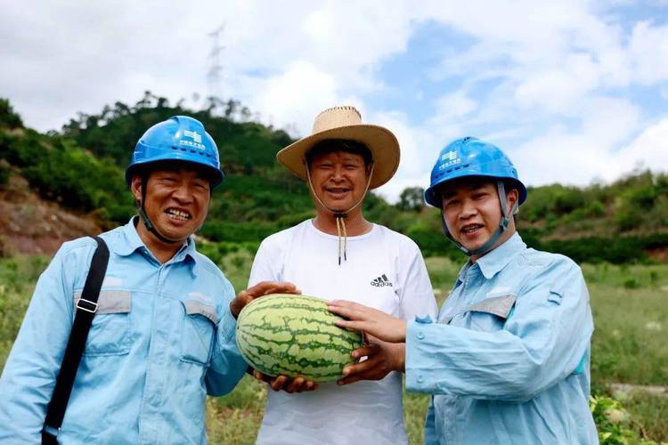 种植_西瓜_卓村